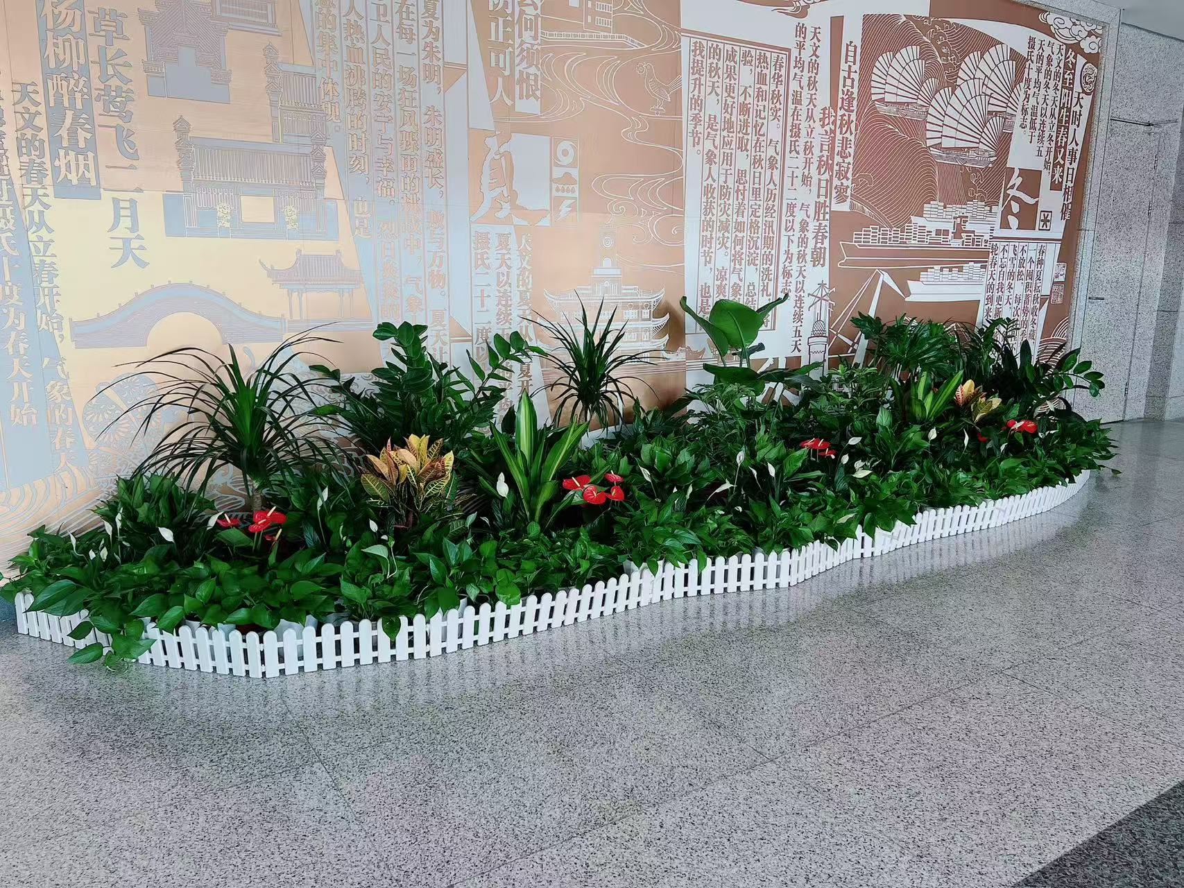 速看！前湾花卉租赁价格全解析